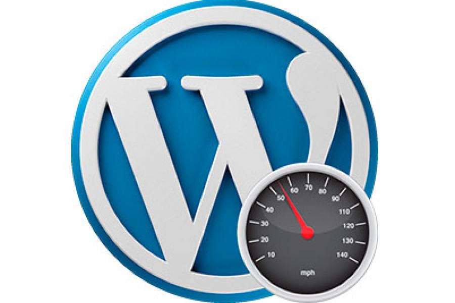 WordPress Speed Enhancement